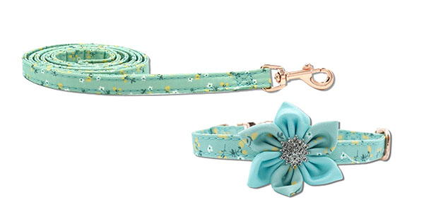 Blossom jewel set vodítko a obojek pro psy - tyrkysový